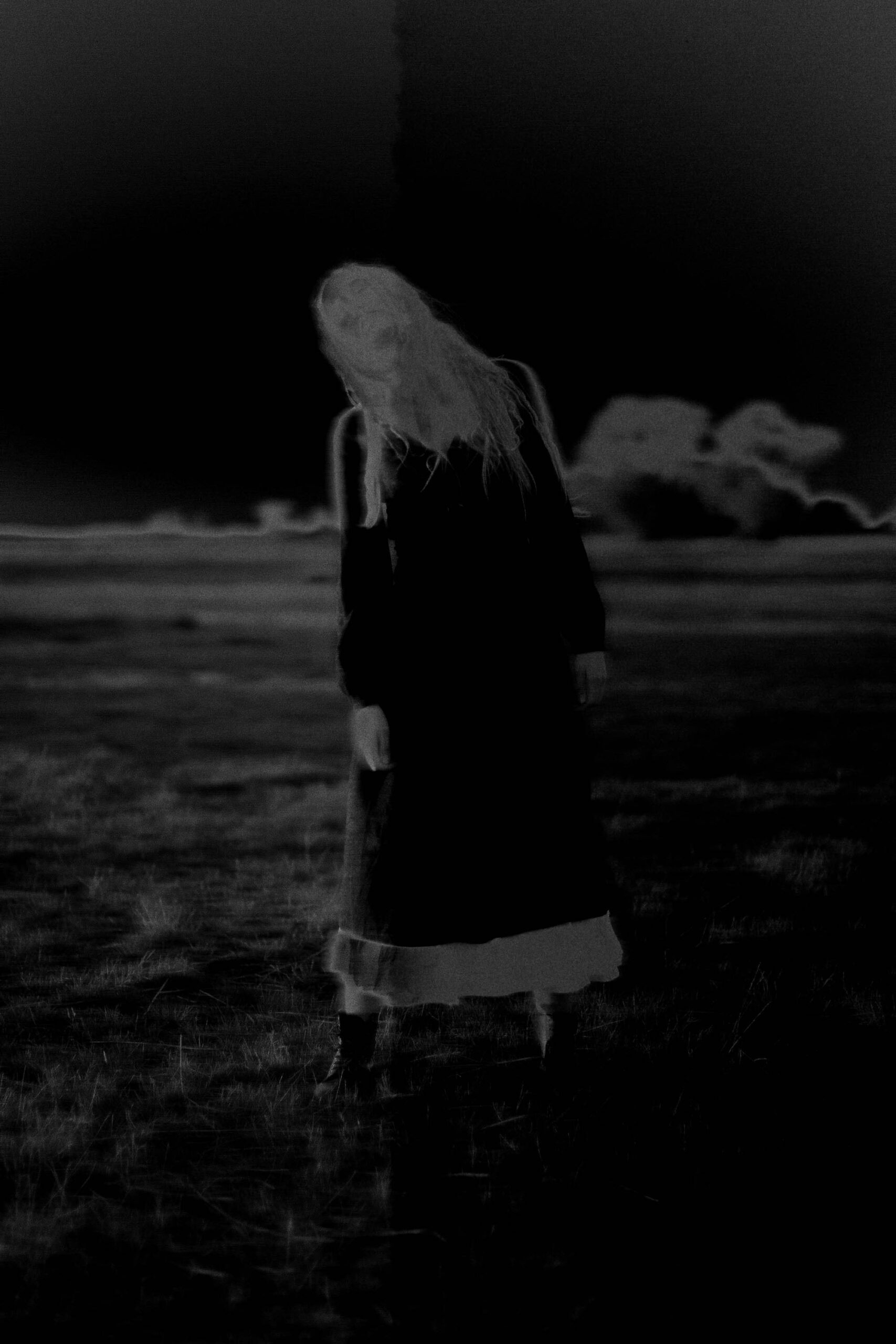 Project: jenny