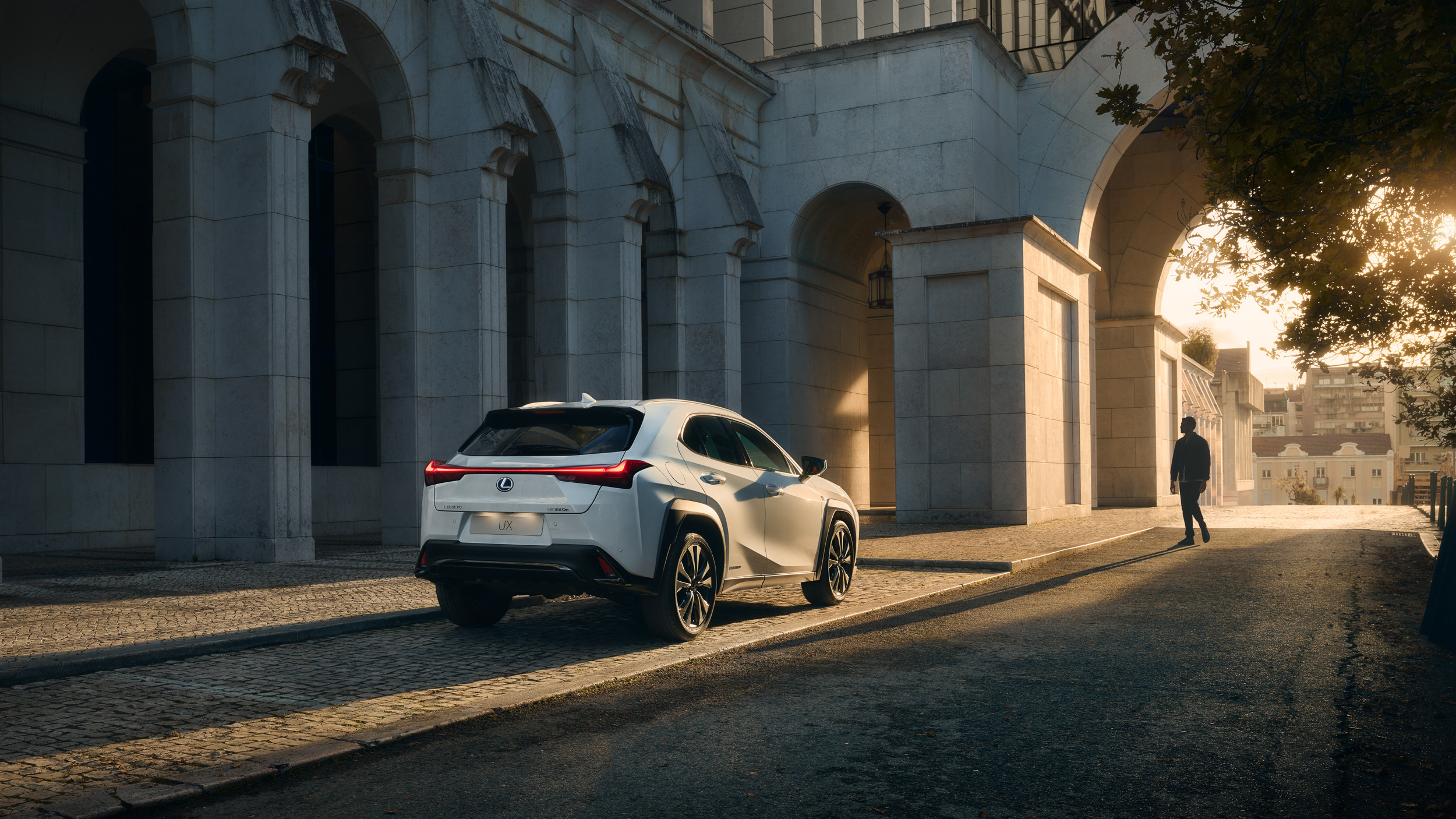 Project: lexus