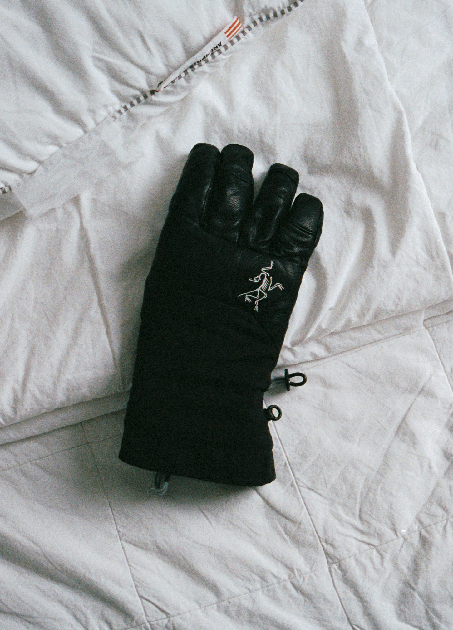 Project: arcteryx